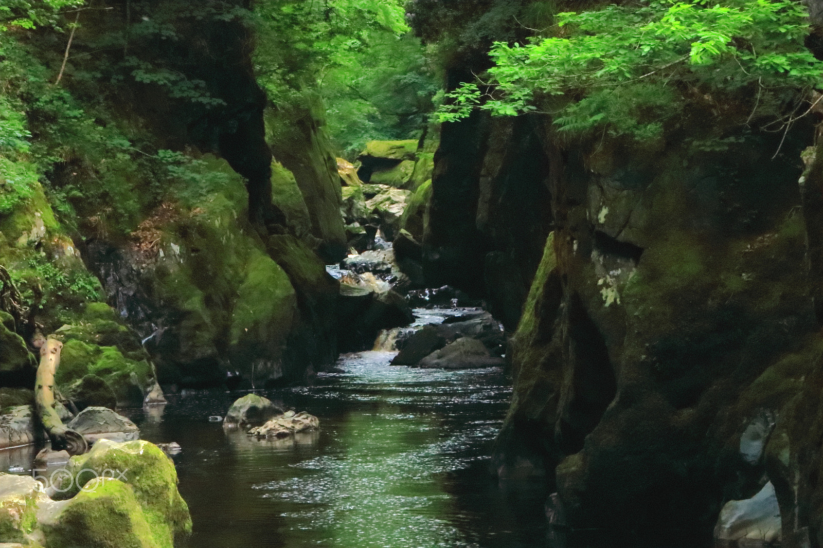 Canon EOS 80D sample photo. Return to the fairy glen 2018 photography