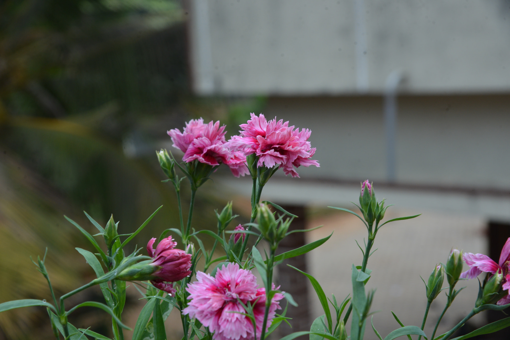 Nikon AF-S Nikkor 24-120mm F4G ED VR sample photo