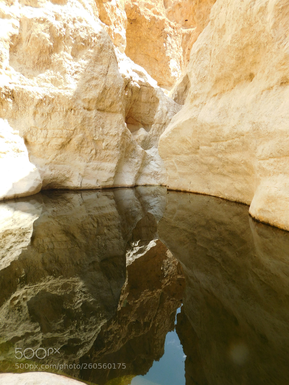 Nikon Coolpix L840 sample photo. Mirror natural pool photography