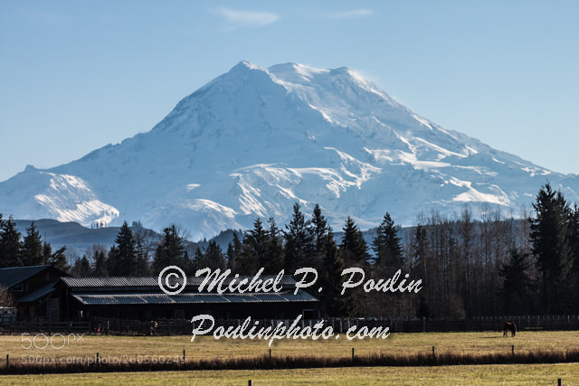 Canon EOS 500D (EOS Rebel T1i / EOS Kiss X3) sample photo. Mt. rainier photography
