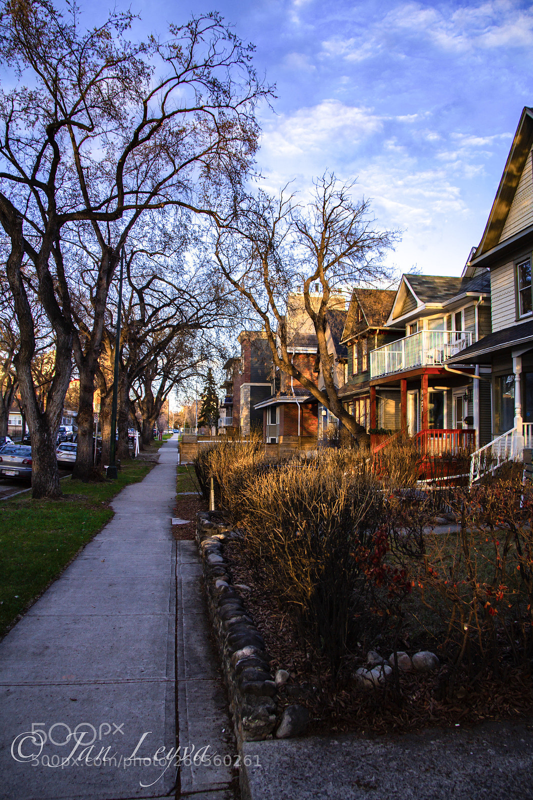 Canon EOS 60D sample photo. The neighbourhood
 photography