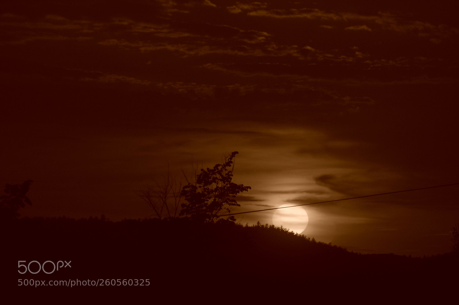 Nikon D5000 sample photo. A sepia sunset photography
