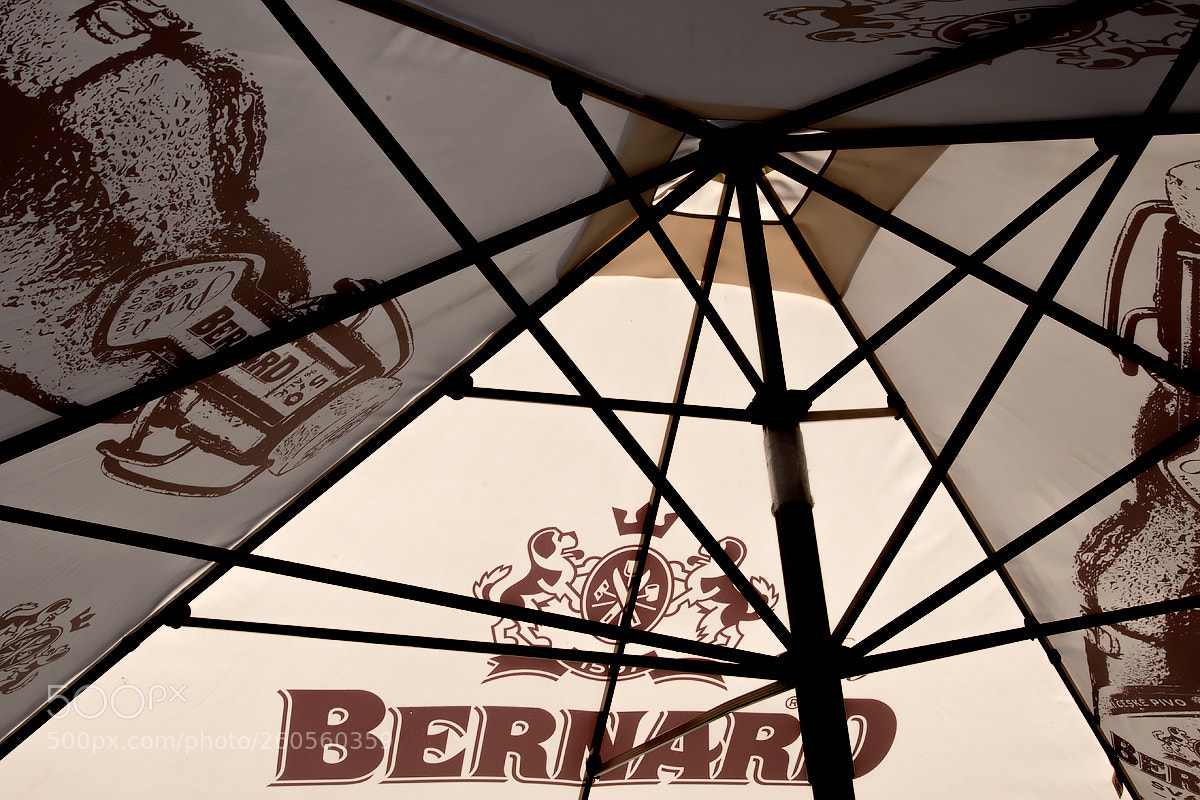 Nikon D500 sample photo. Jamas 1-053 photography