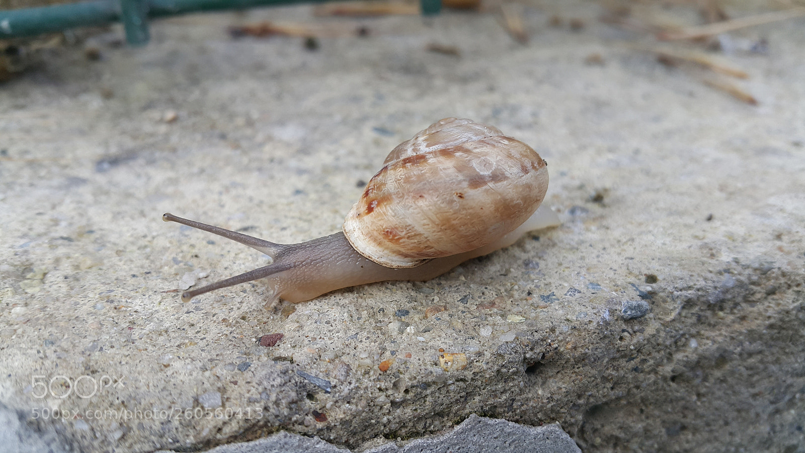 Samsung Galaxy Note4 sample photo. Untitled photography
