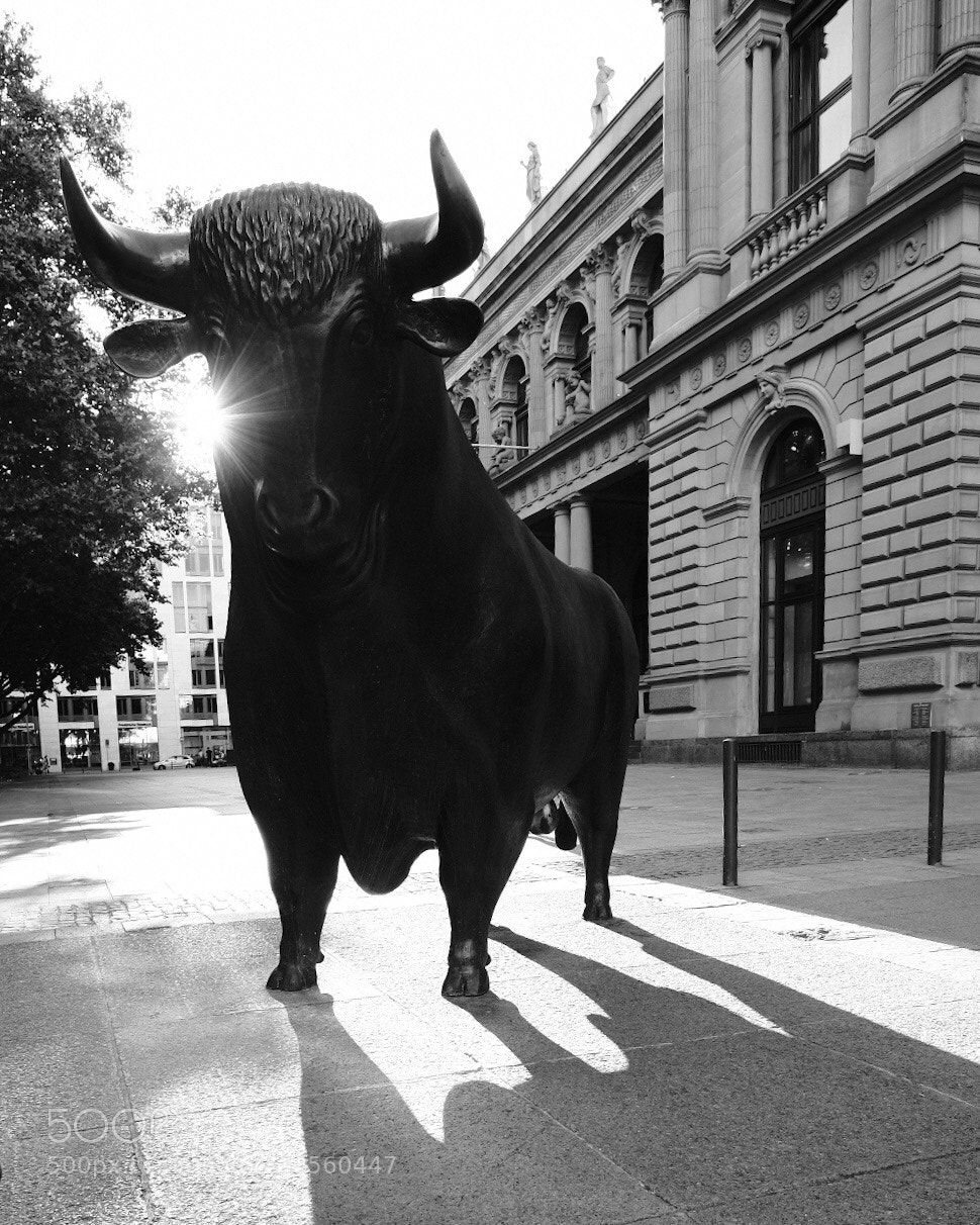Fujifilm X-H1 sample photo. The bulls eye photography