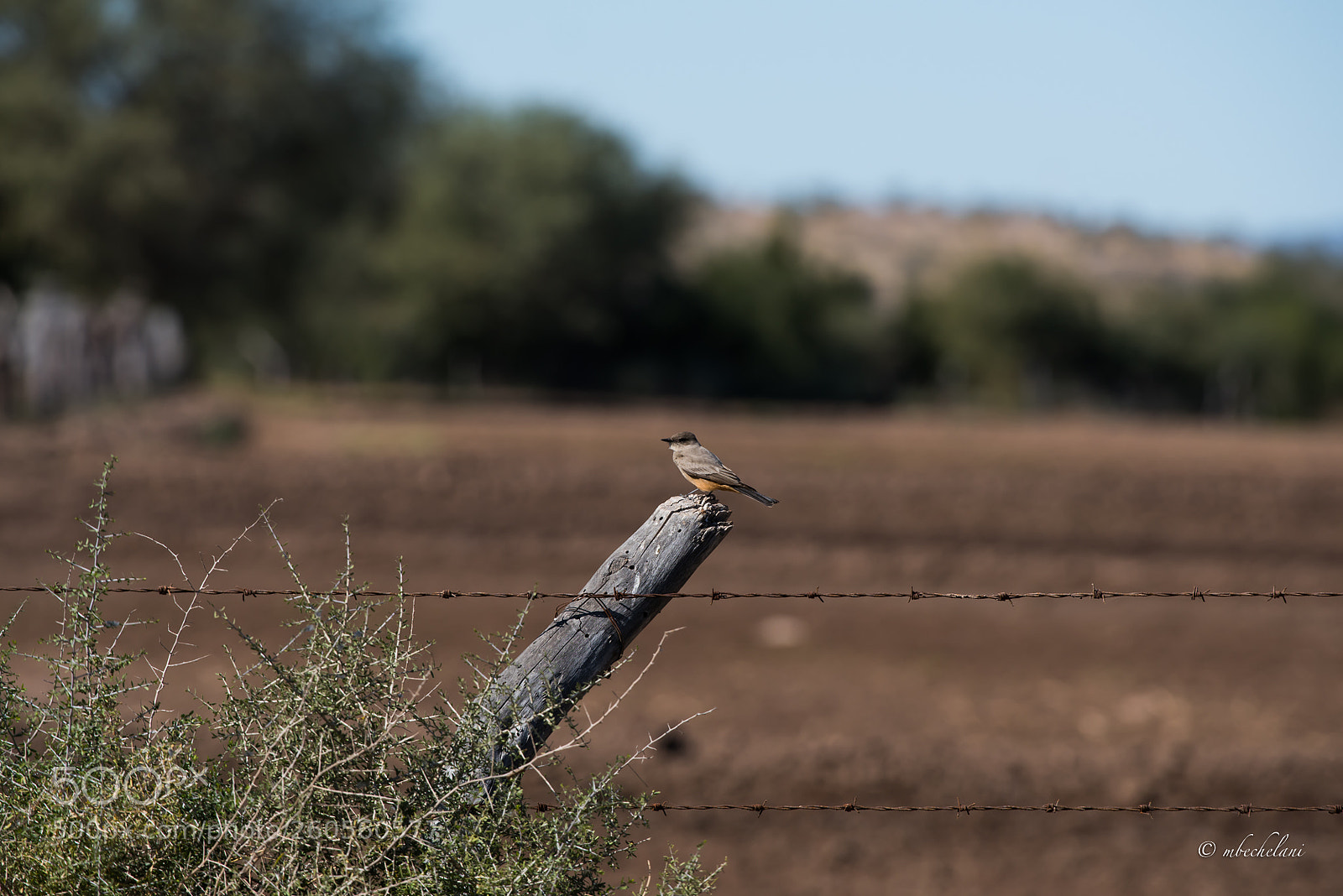 Nikon D810 sample photo. Mbs photography