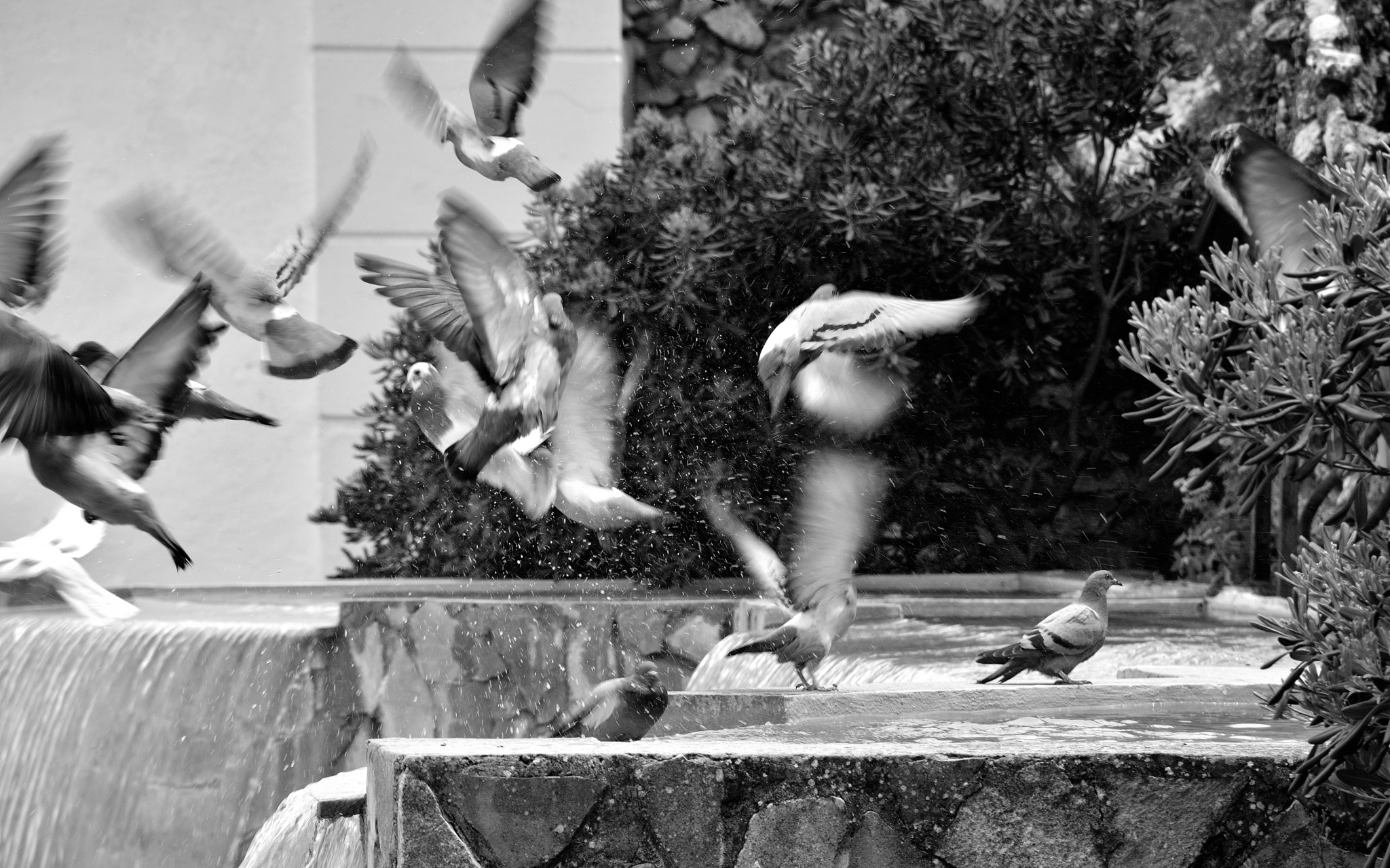Nikon D5500 sample photo. Olvera photography
