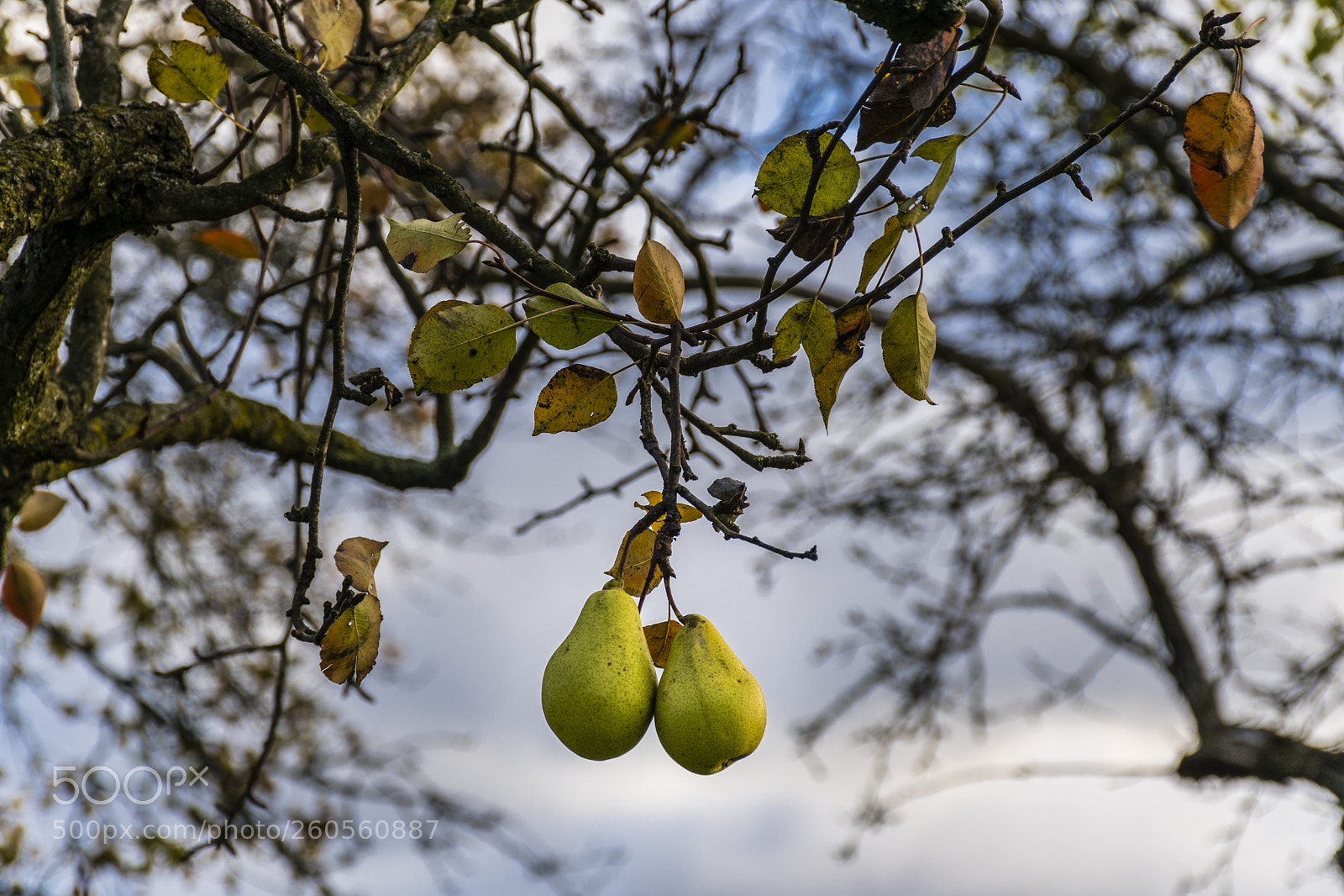 Nikon D7500 sample photo. Togetherness photography