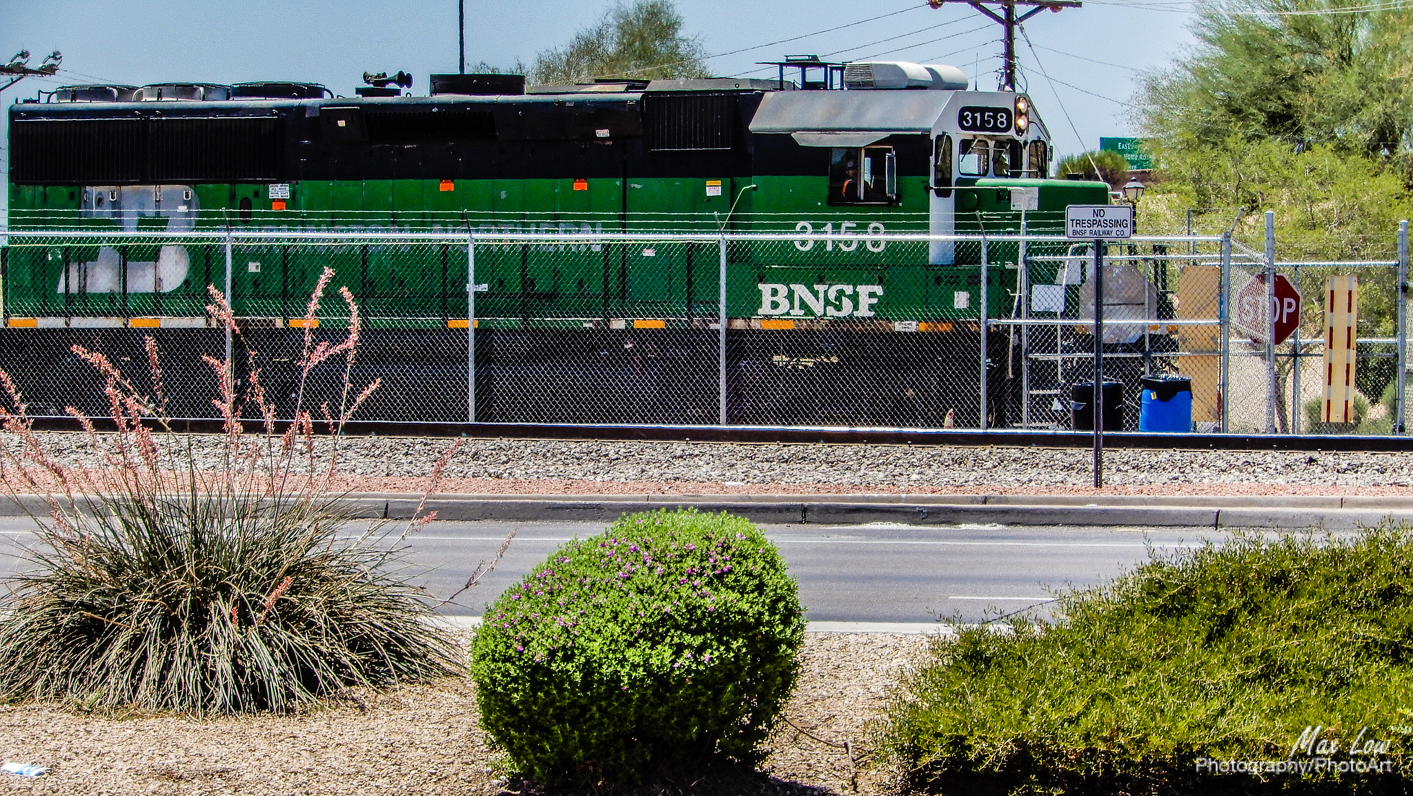 Nikon Coolpix A900 sample photo. Green engine photography