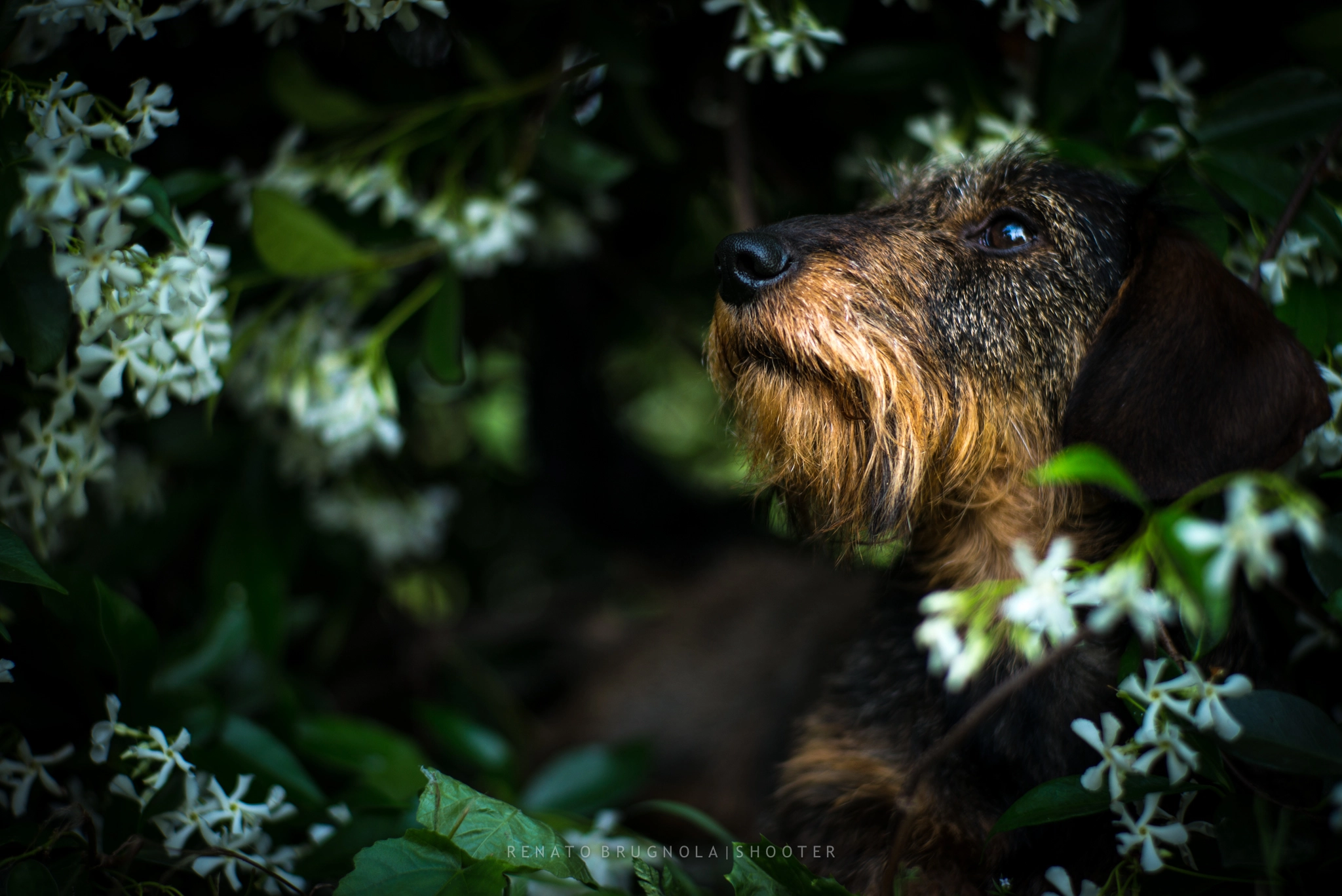 Leica M (Typ 240) sample photo. Embraceable you ❤️ photography