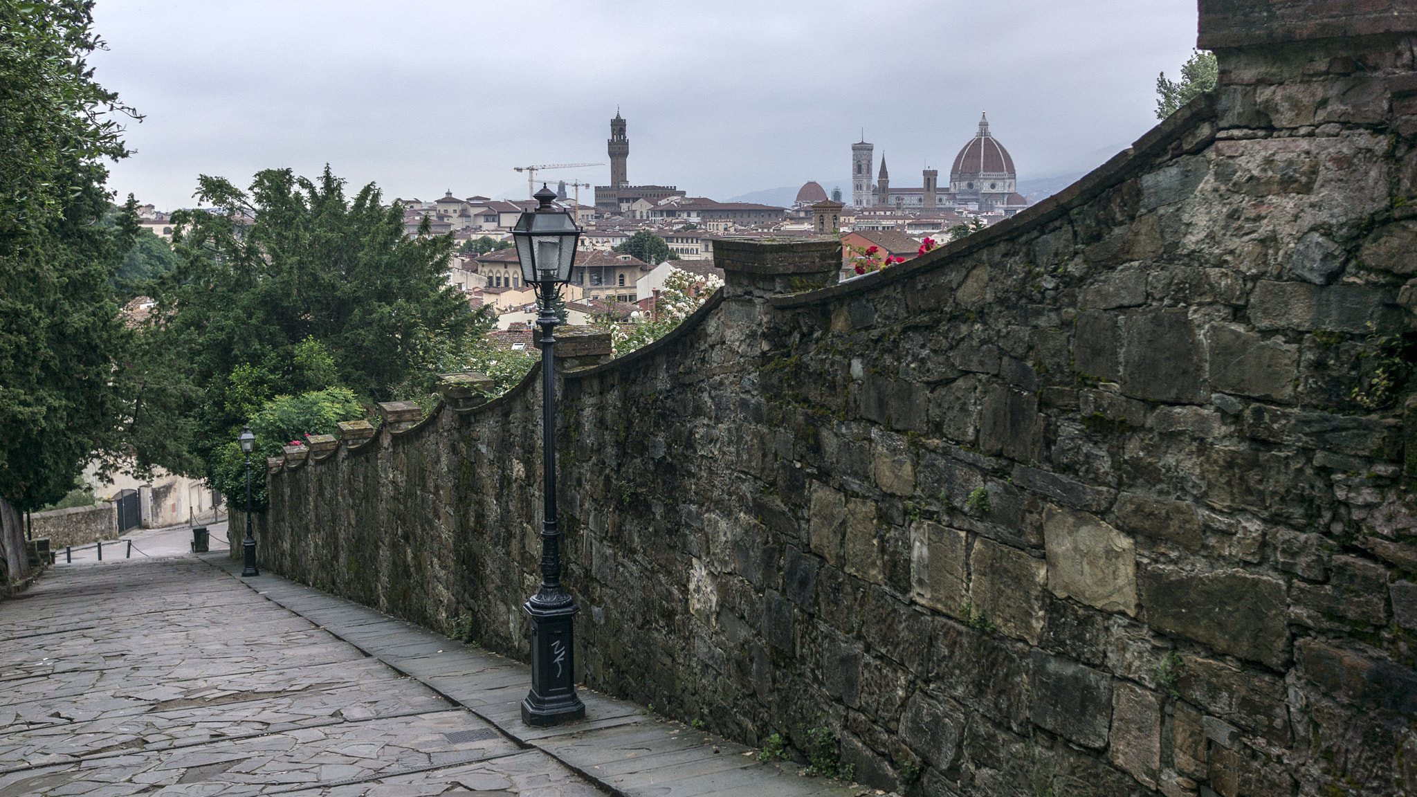 Sony Alpha NEX-6 sample photo. Florence from uphill steps photography