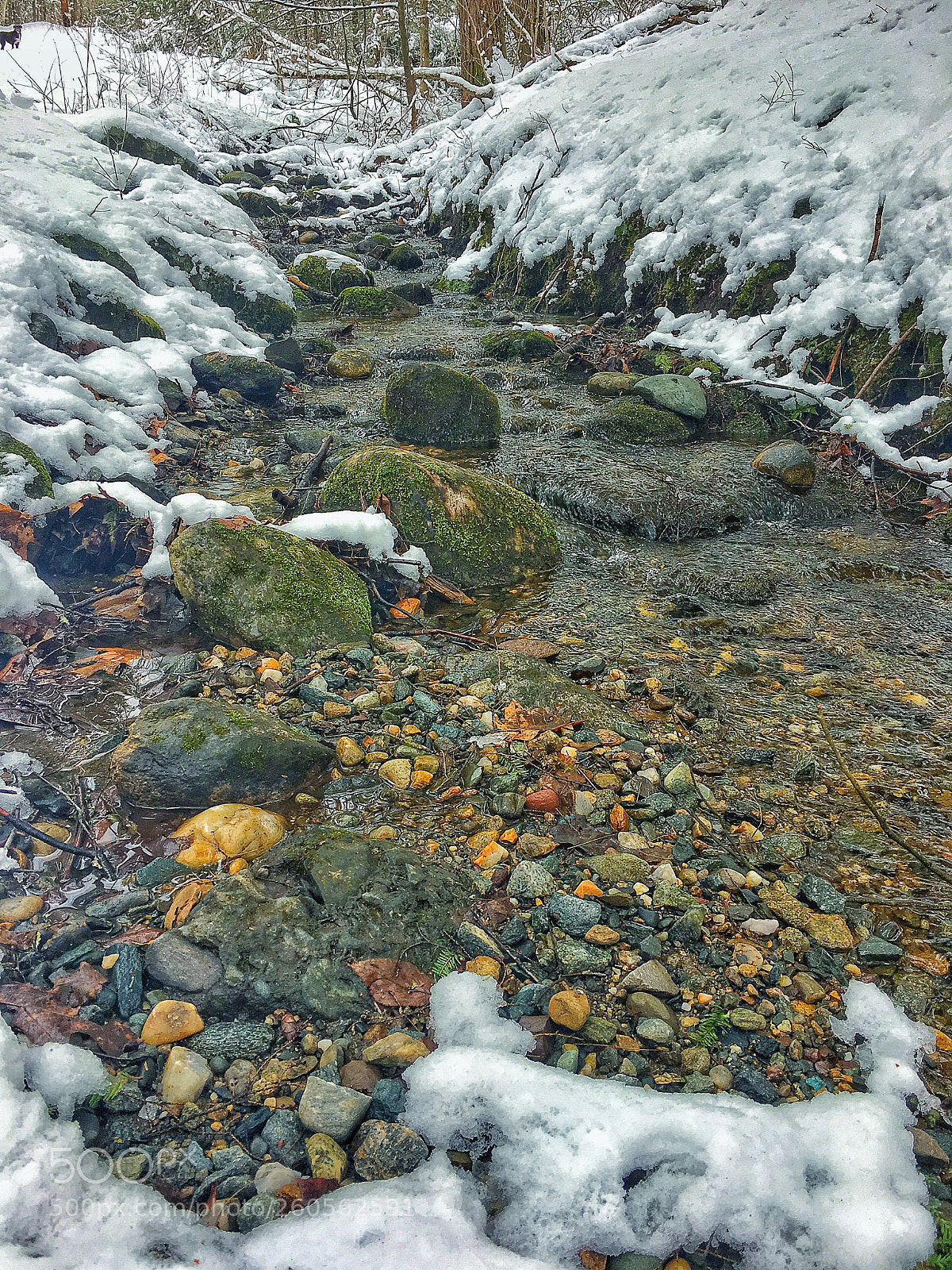 Apple iPhone 6s sample photo. Quiet brook photography