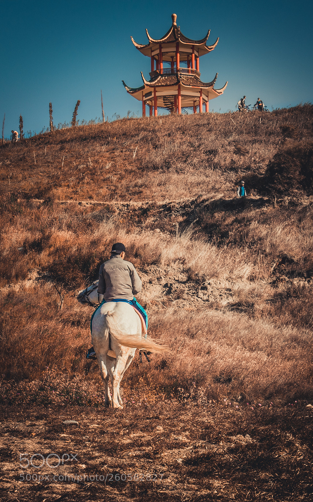 Nikon D5300 sample photo. Riding photography