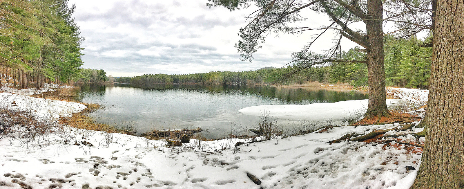 Apple iPhone 6s sample photo. Edge of the water photography