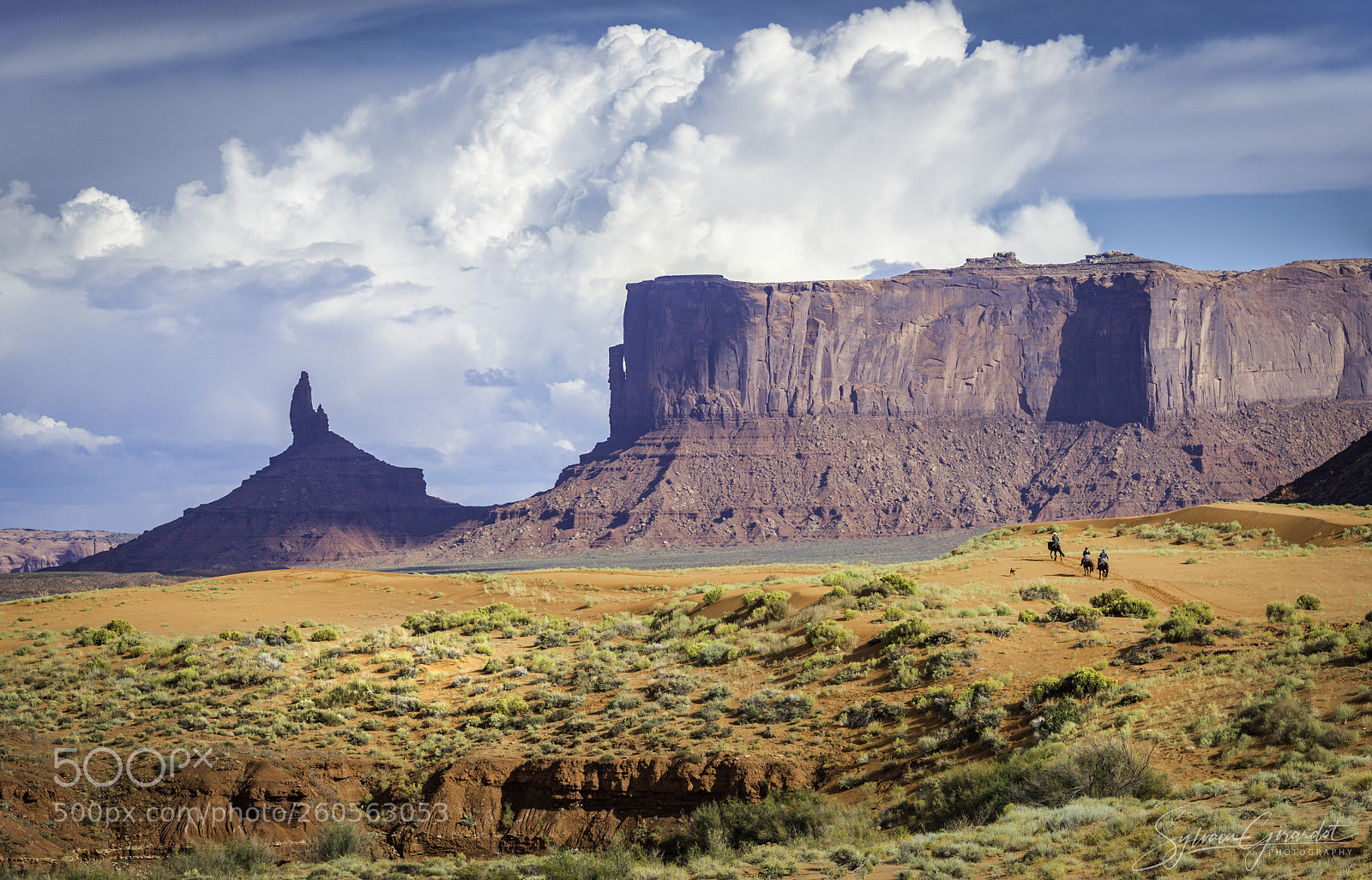 Nikon D800 sample photo. Monument valley photography