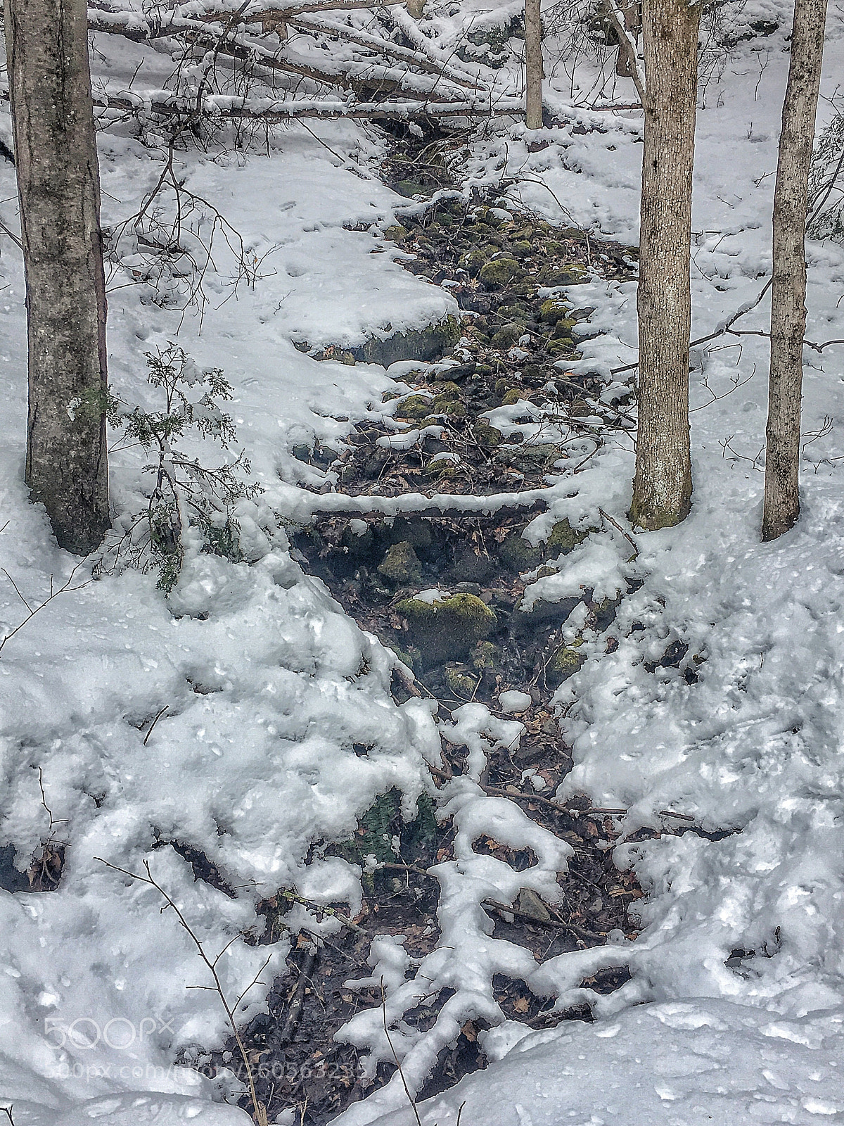 Apple iPhone 6s sample photo. Snowy brook photography
