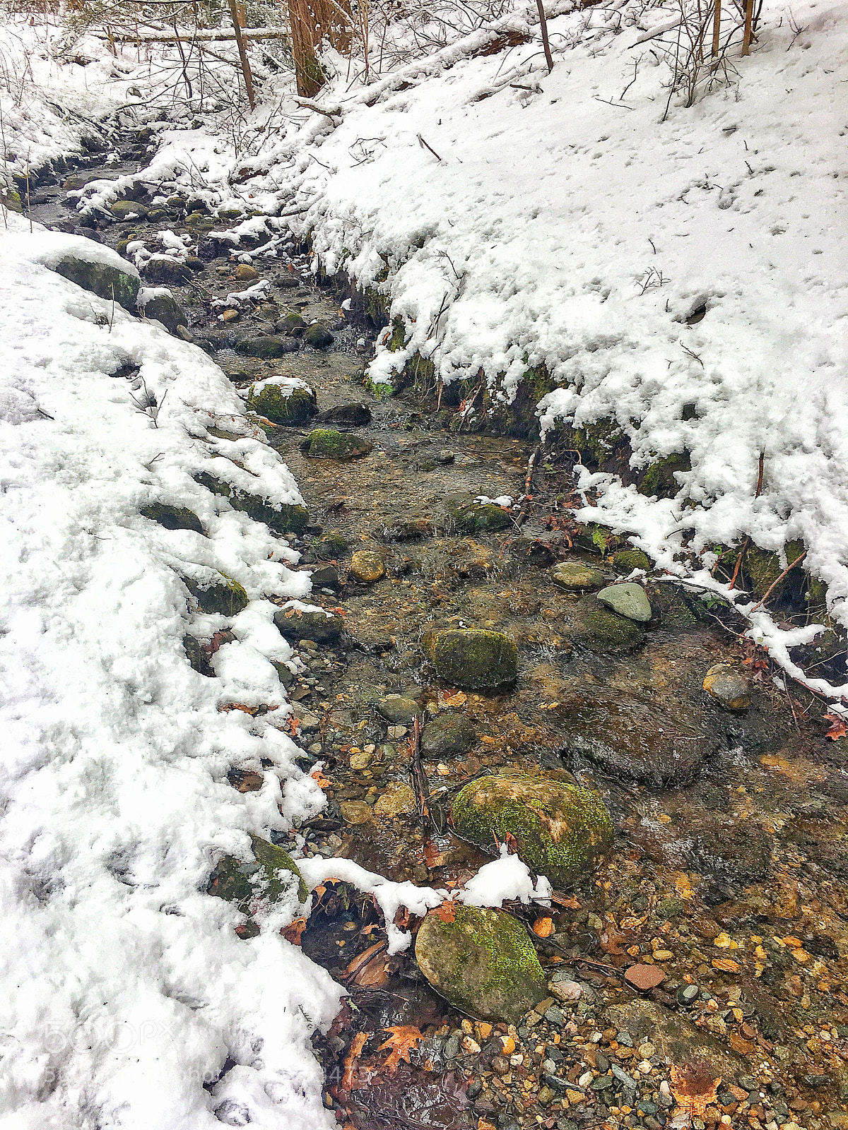 Apple iPhone 6s sample photo. Cold brook photography