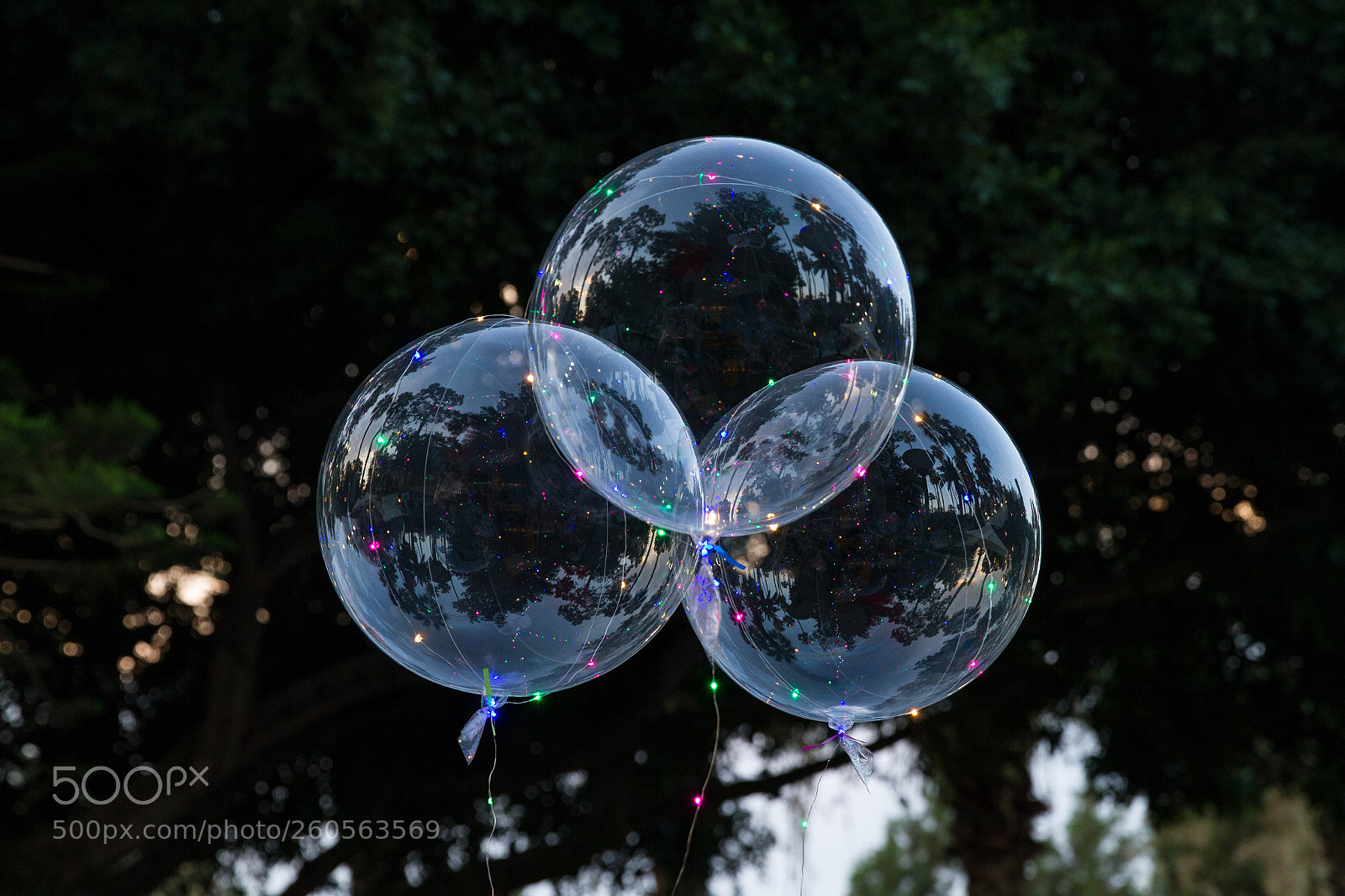 Canon EOS 7D sample photo. Floating on air photography