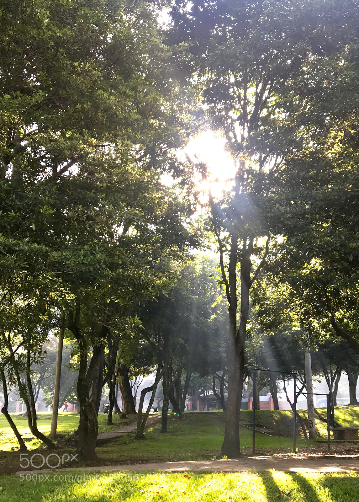 Apple iPhone 7 Plus sample photo. Untitled photography