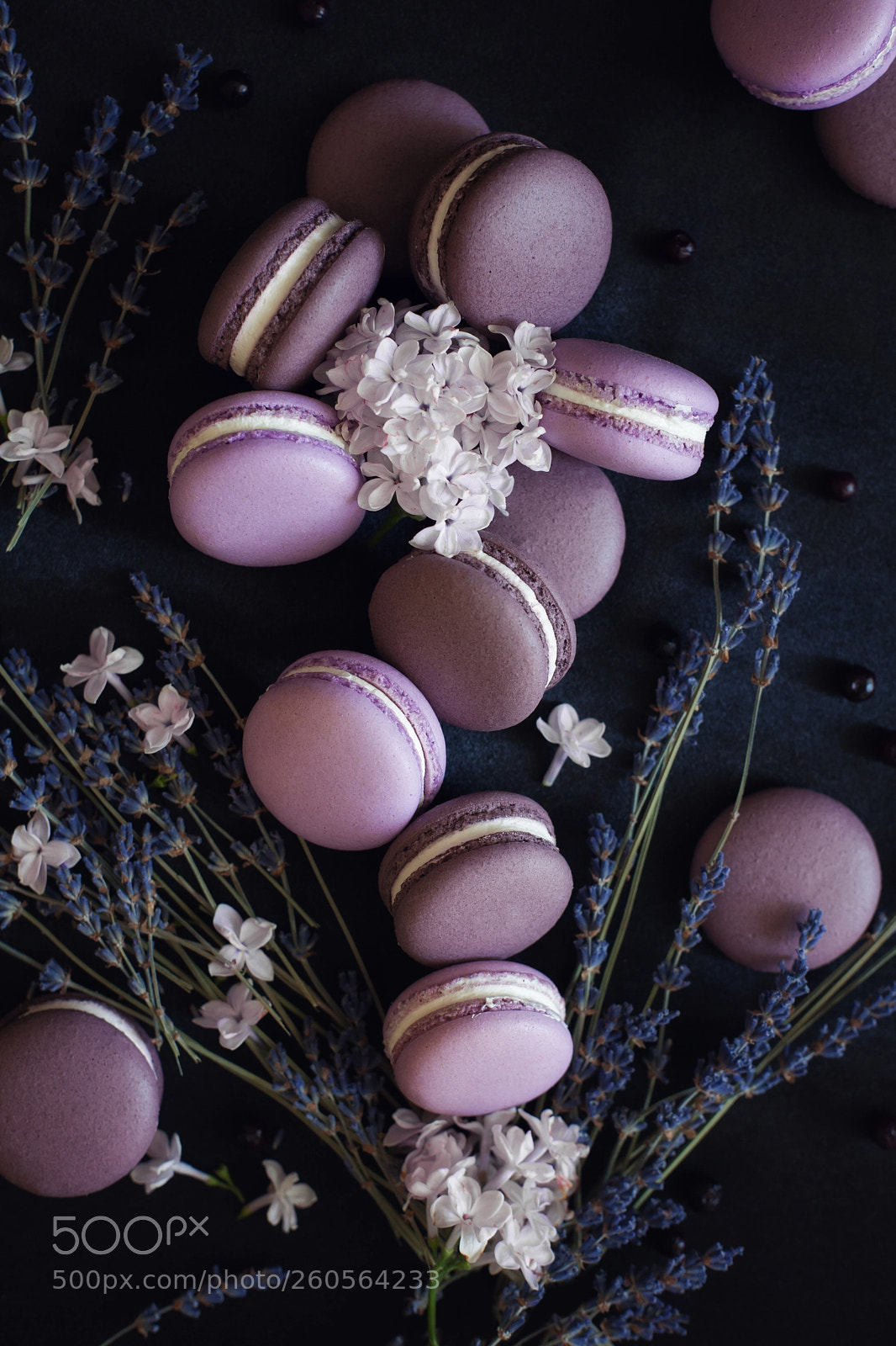 Canon EOS 5D Mark II sample photo. Lavender&macarons photography