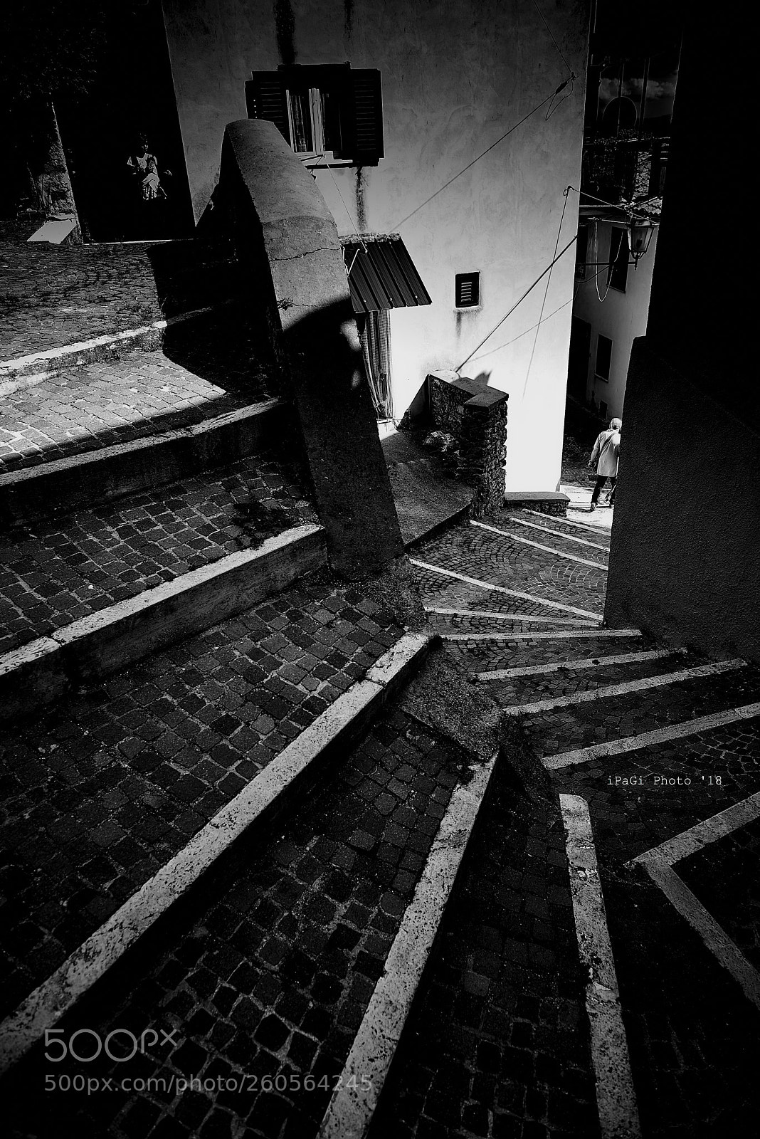 Nikon D750 sample photo. Vivaro romano - scale photography