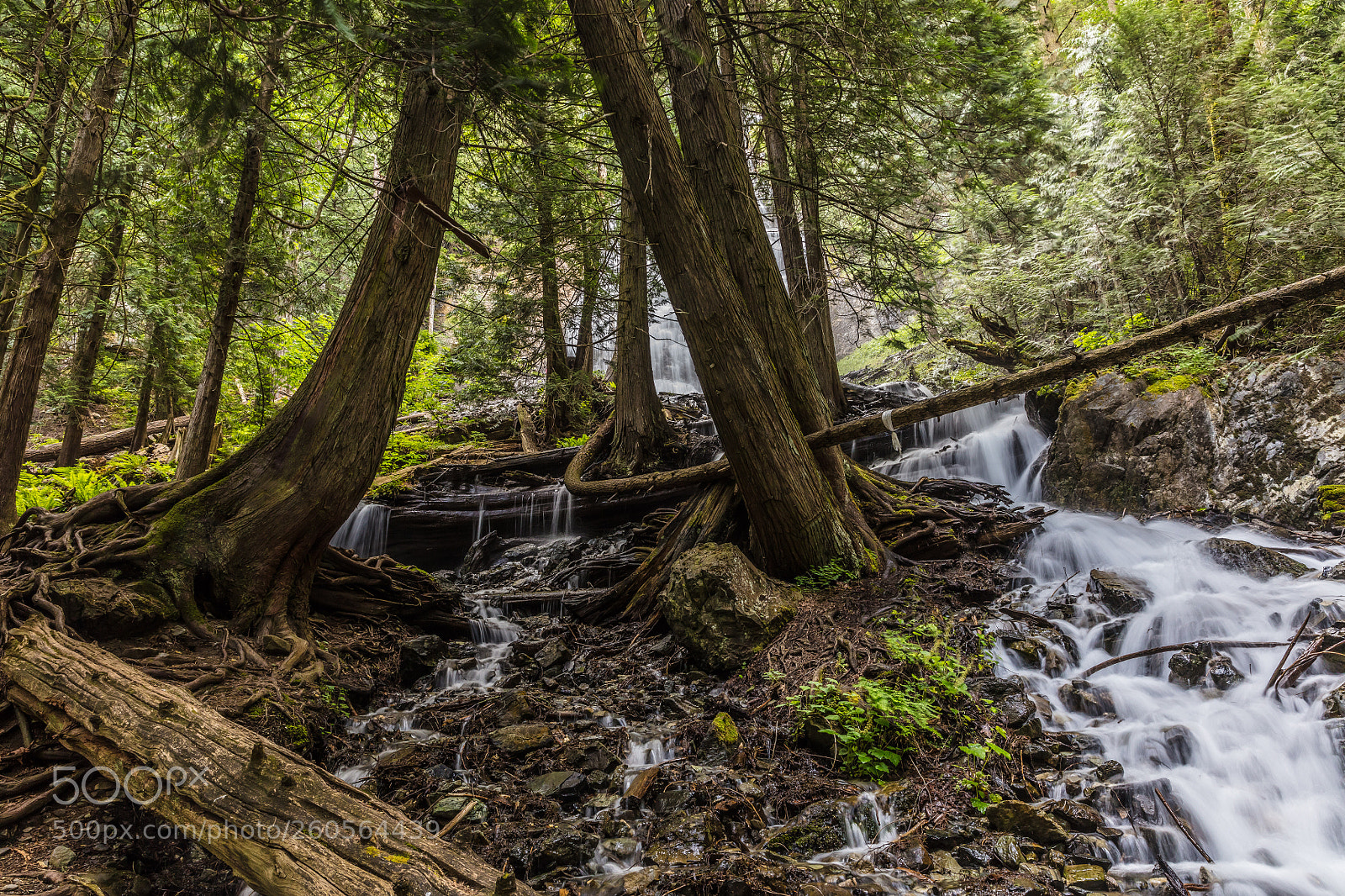 Canon EOS 5DS R sample photo. Bridal falls iii photography