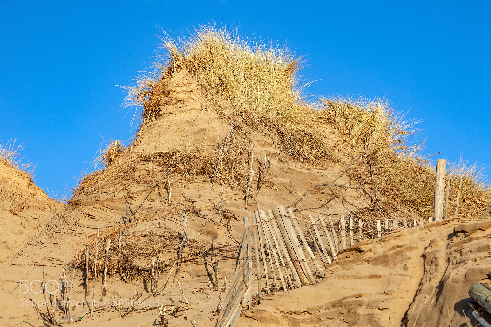Canon EOS 5D Mark II sample photo. Dune photography
