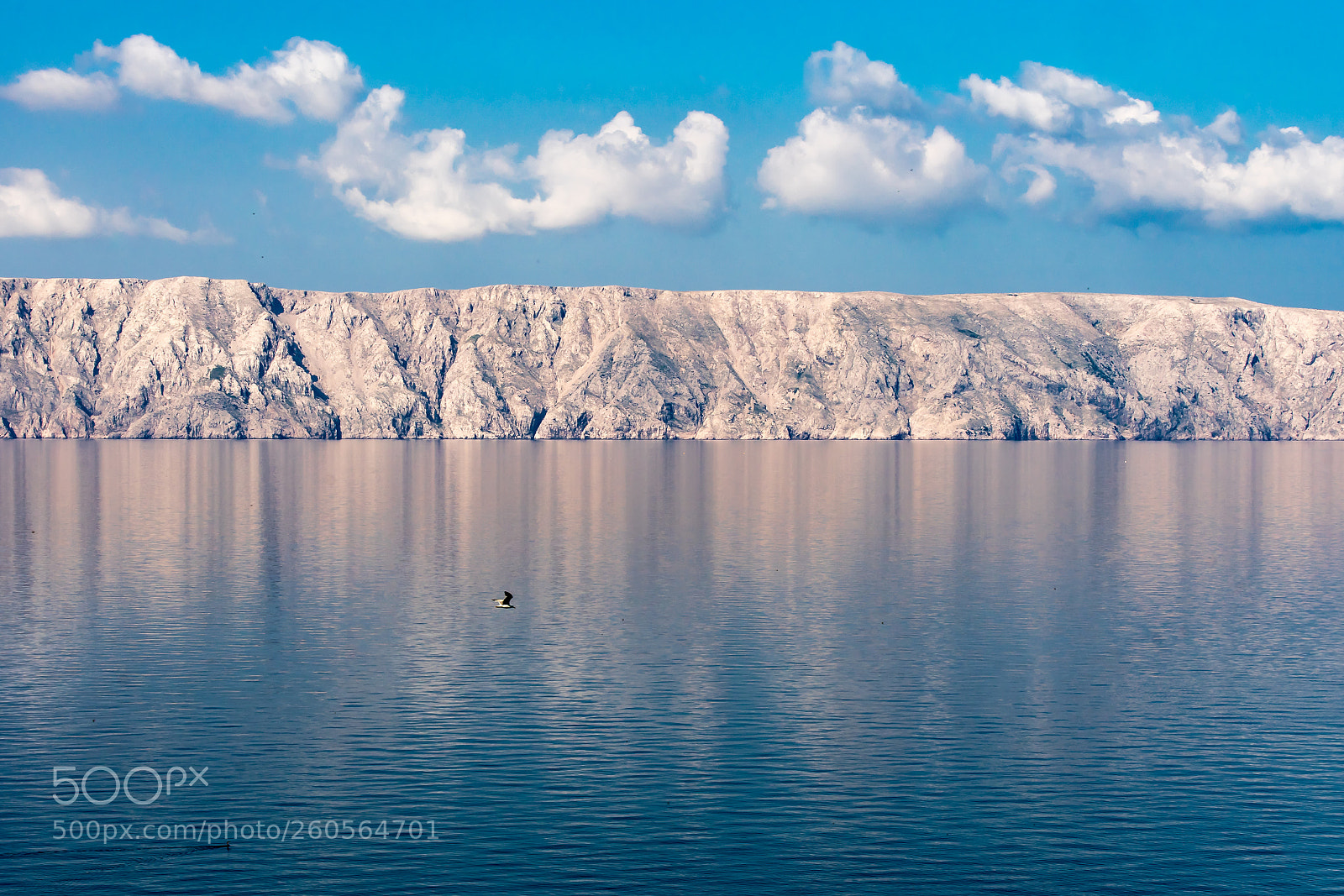 Sony a7 II sample photo. Reflective sea photography