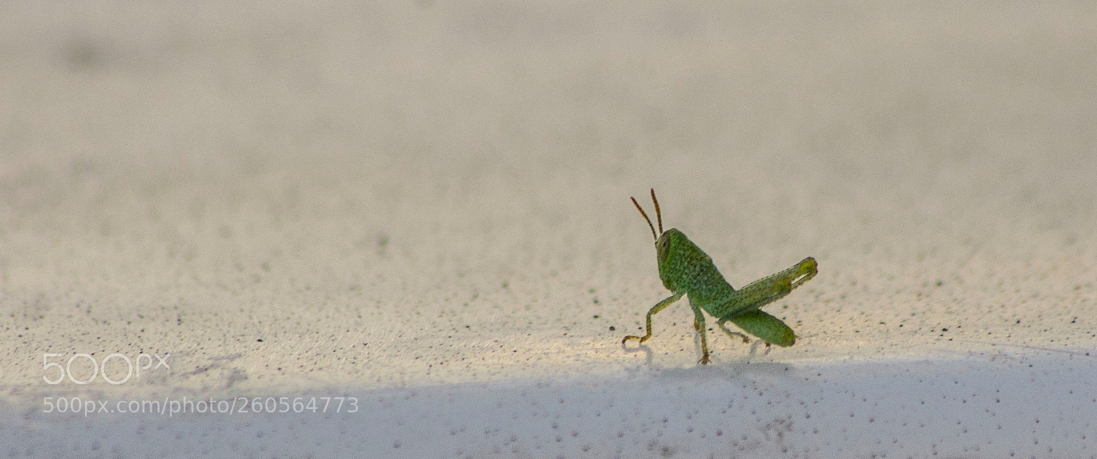 Pentax K-r sample photo. First jump photography