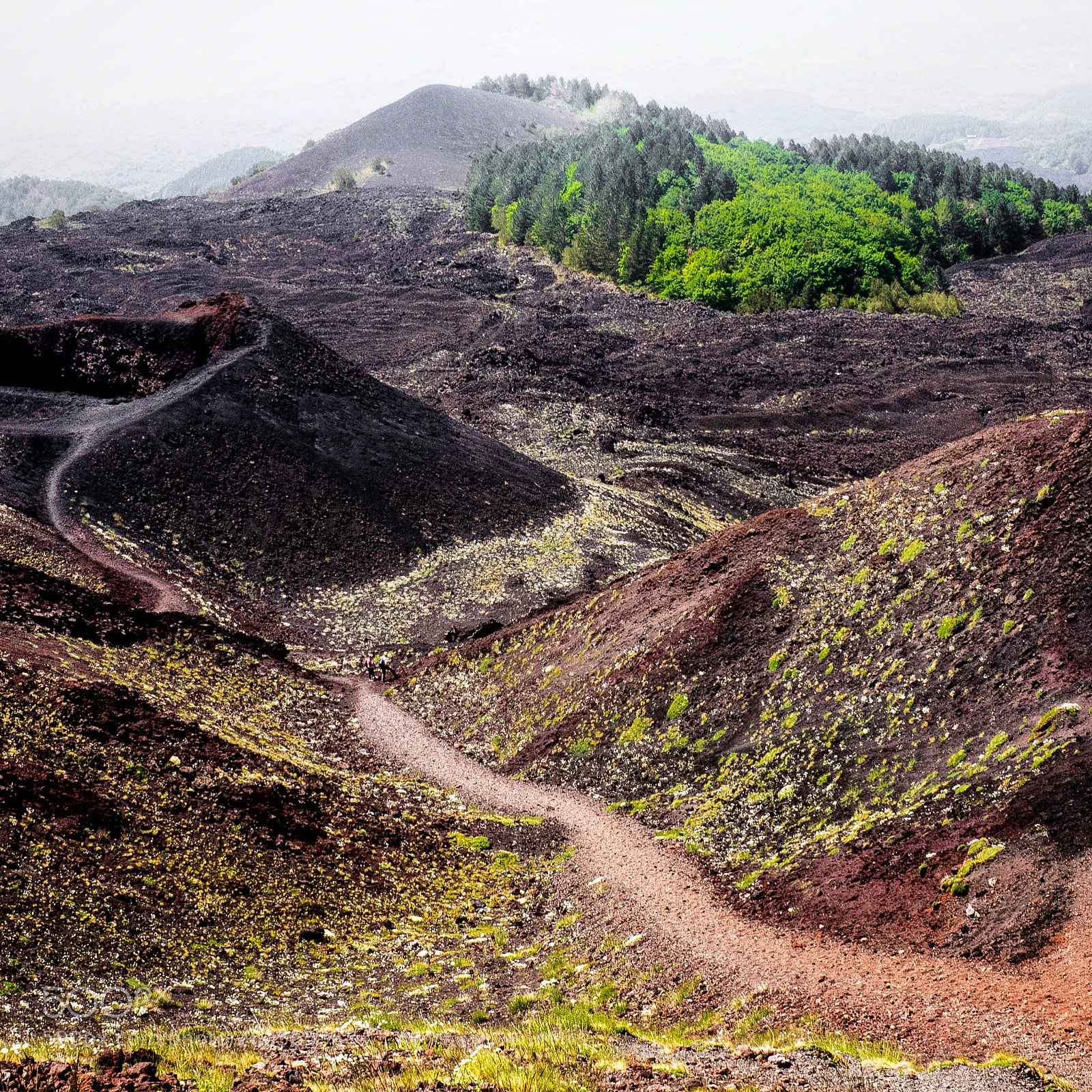 Olympus OM-D E-M1 sample photo. Volcano etnea photography