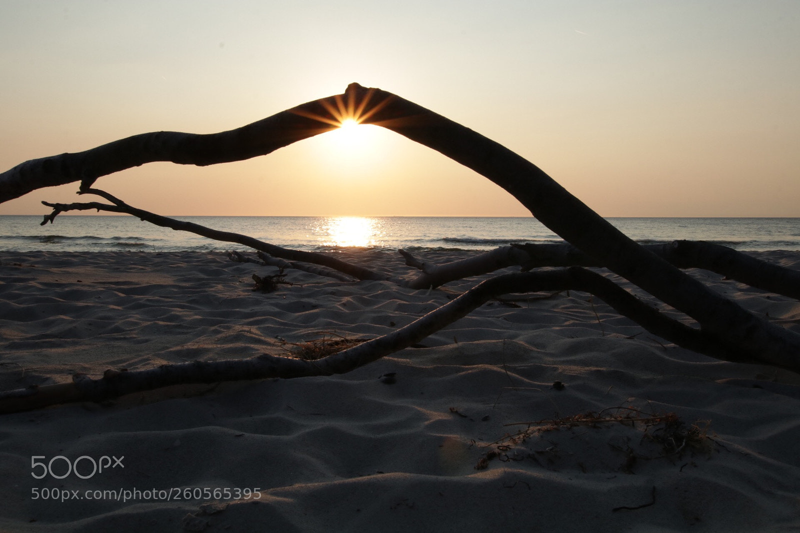 Canon EOS 80D sample photo. Sonnenstern über der ostsee photography