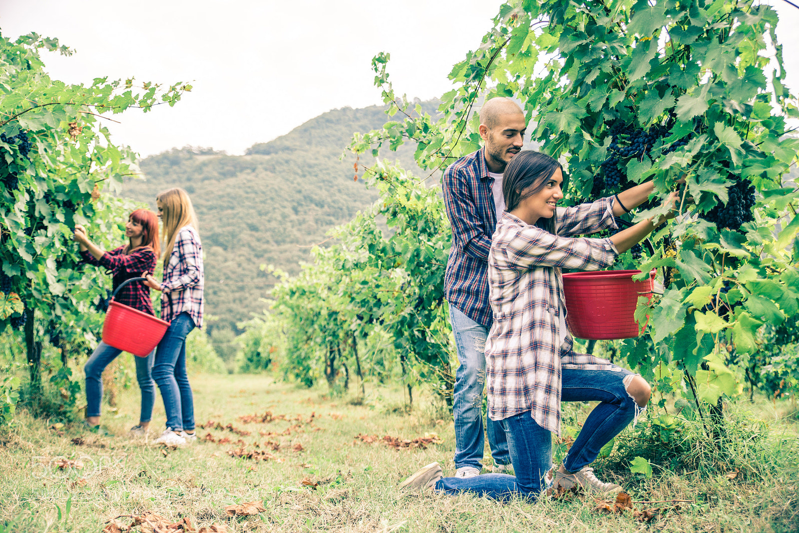 Nikon D610 sample photo. People harvesting in a photography