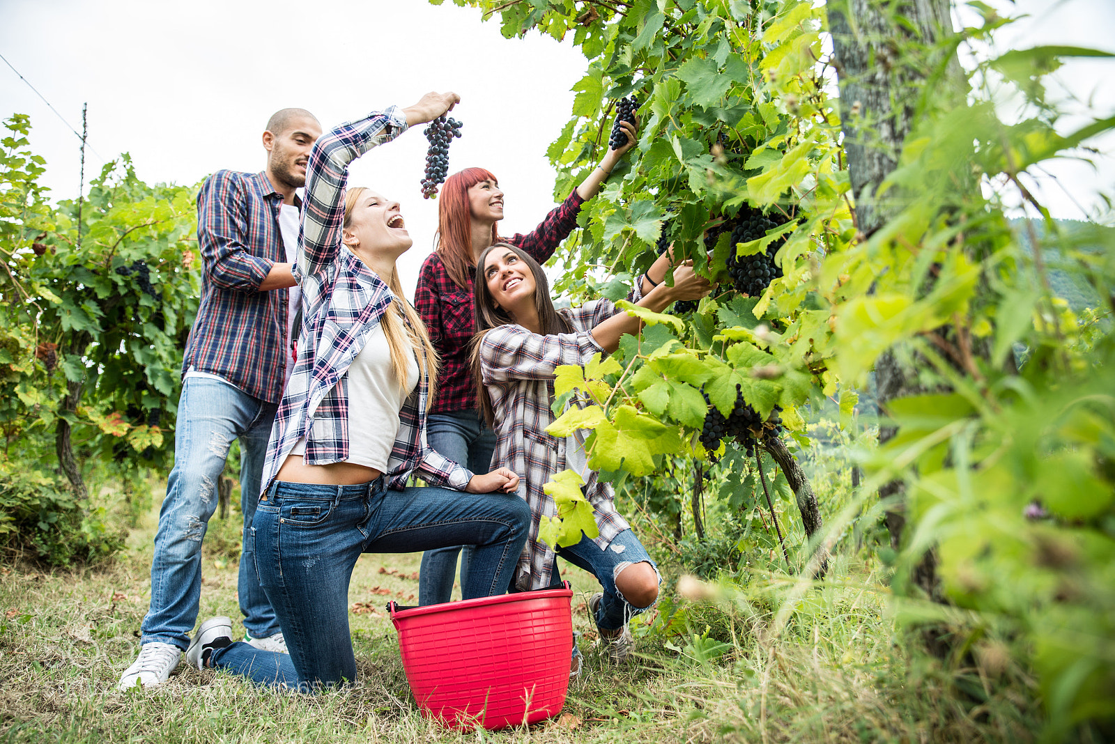 Nikon D610 sample photo. People harvesting in a photography