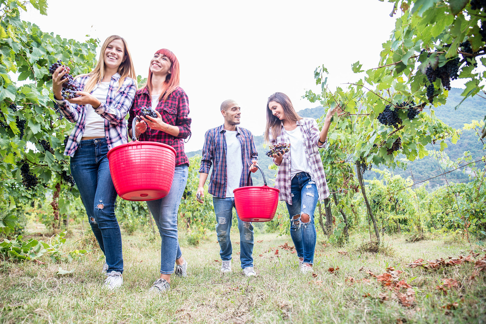 Nikon D610 sample photo. People harvesting in a photography