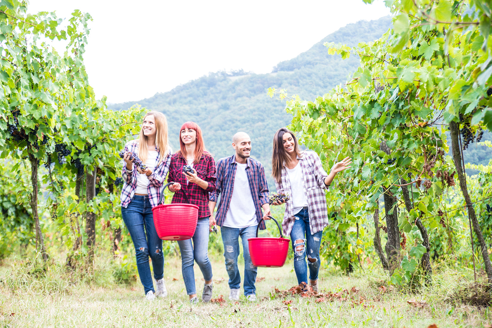 Nikon D610 sample photo. People harvesting in a photography