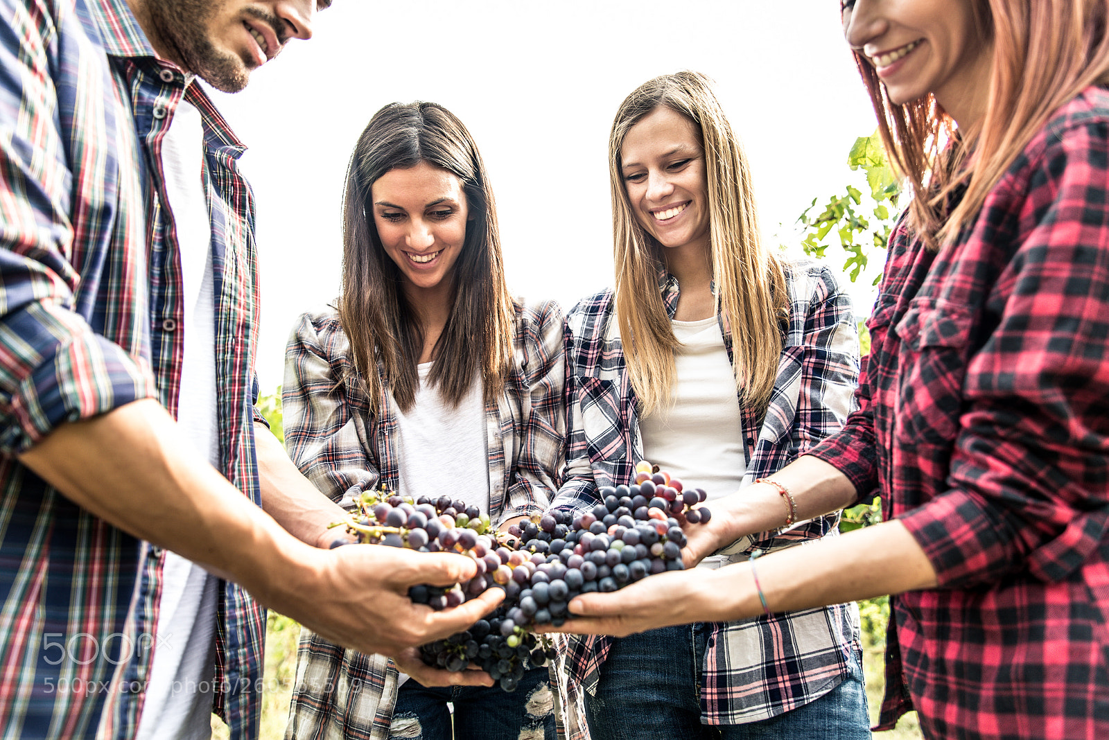 Nikon D610 sample photo. People harvesting in a photography