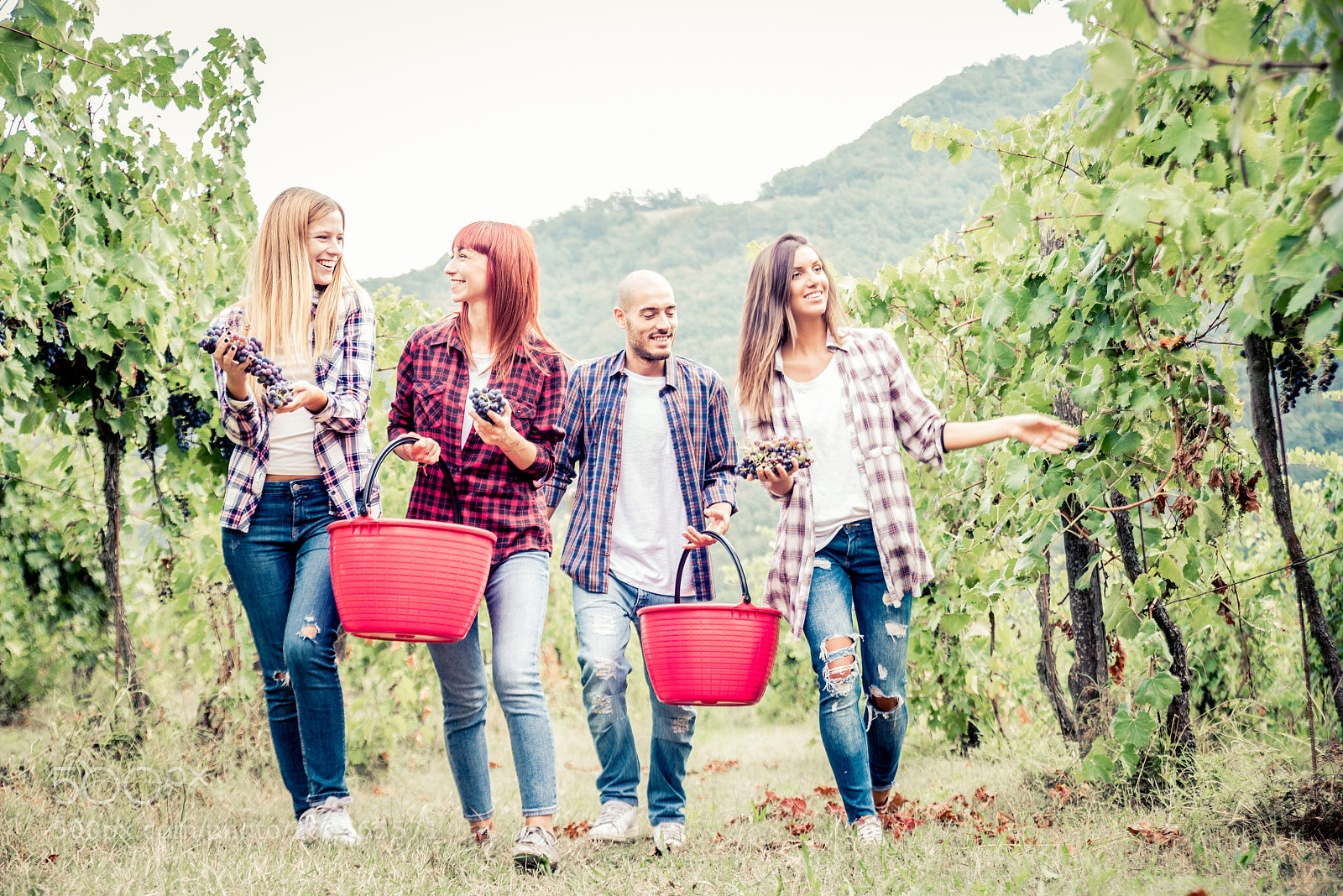 Nikon D610 sample photo. People harvesting in a photography