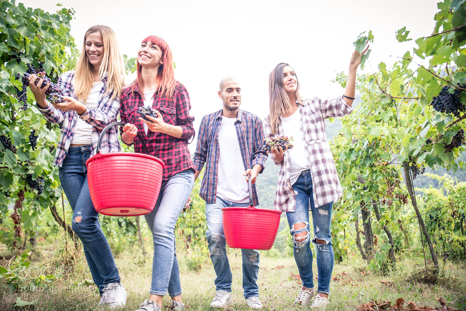 Nikon D610 sample photo. People harvesting in a photography
