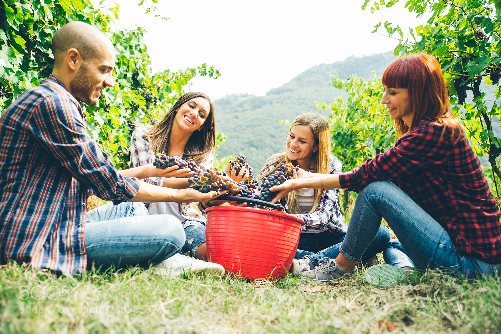 Nikon D610 sample photo. People harvesting in a photography
