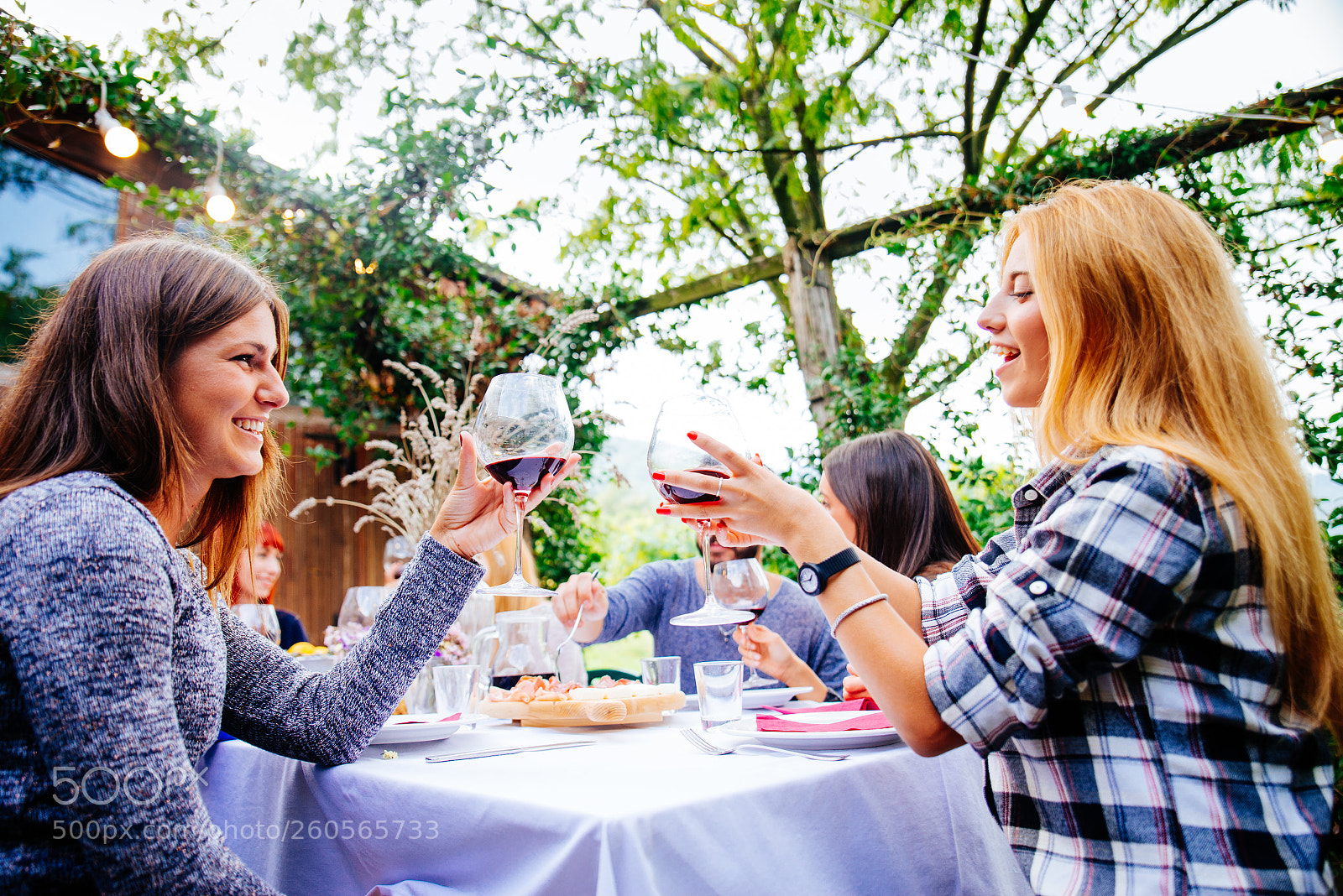 Nikon D610 sample photo. Friends having dinner in photography
