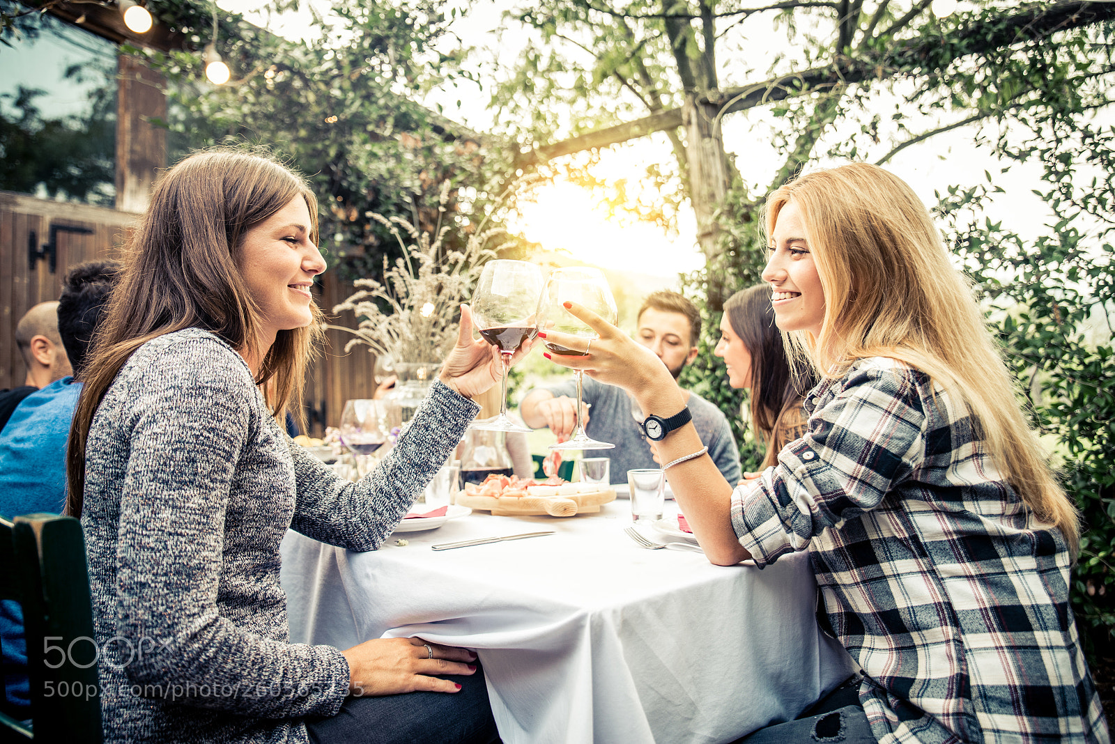 Nikon D610 sample photo. Friends having dinner in photography