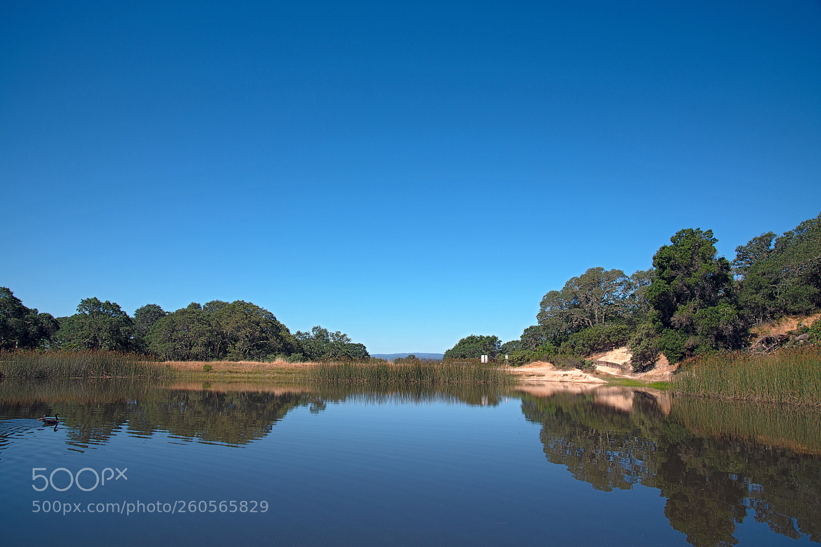 Nikon D850 sample photo. Foothill park photography