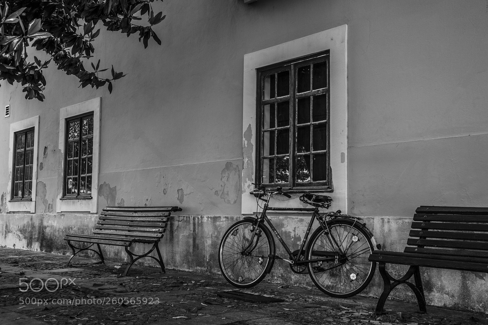 Nikon D3300 sample photo. Bike i photography