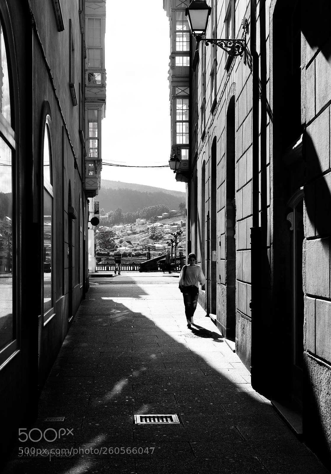 Nikon D750 sample photo. Viveiro. photography