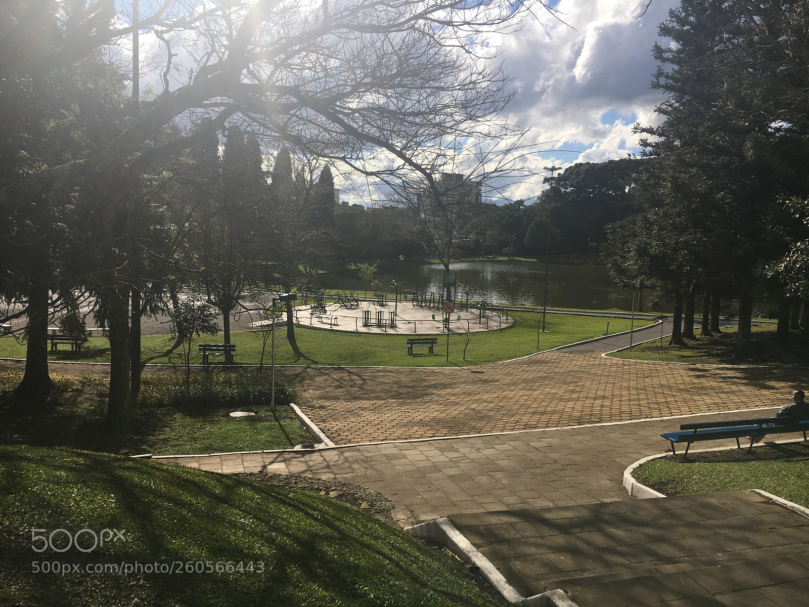 Apple iPhone 6s sample photo. Beautiful park photography