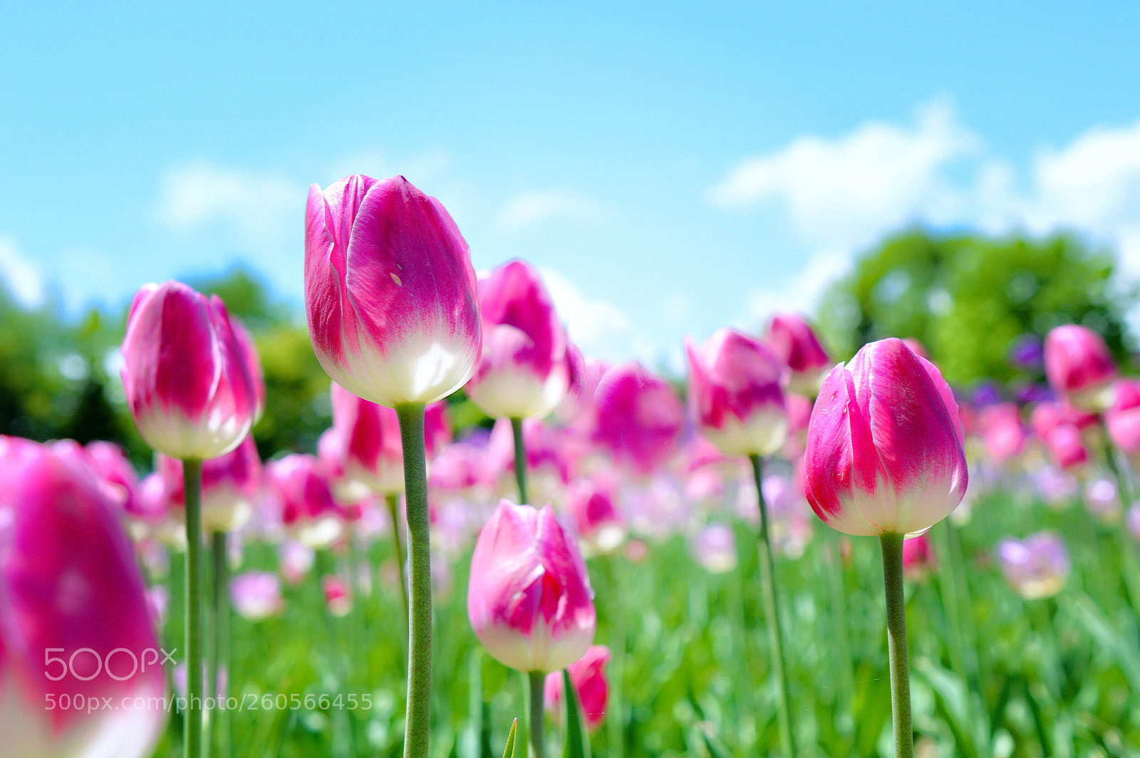 Nikon D3200 sample photo. To the high touch photography