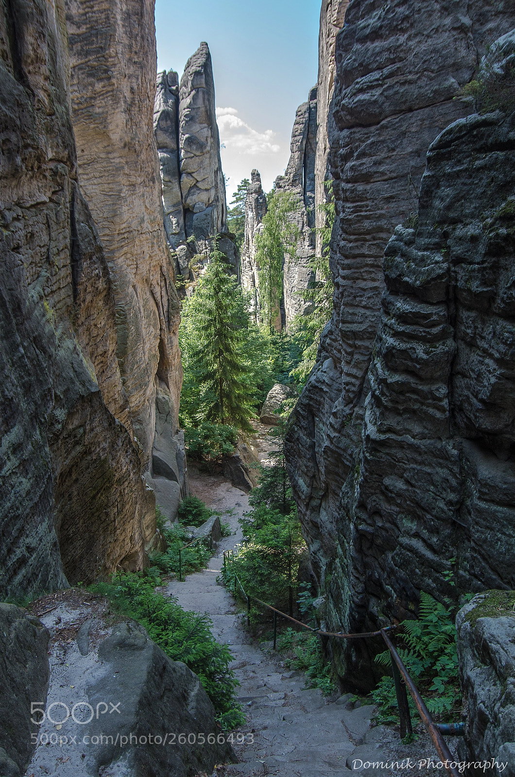 Pentax K-50 sample photo. Prachov rocks photography