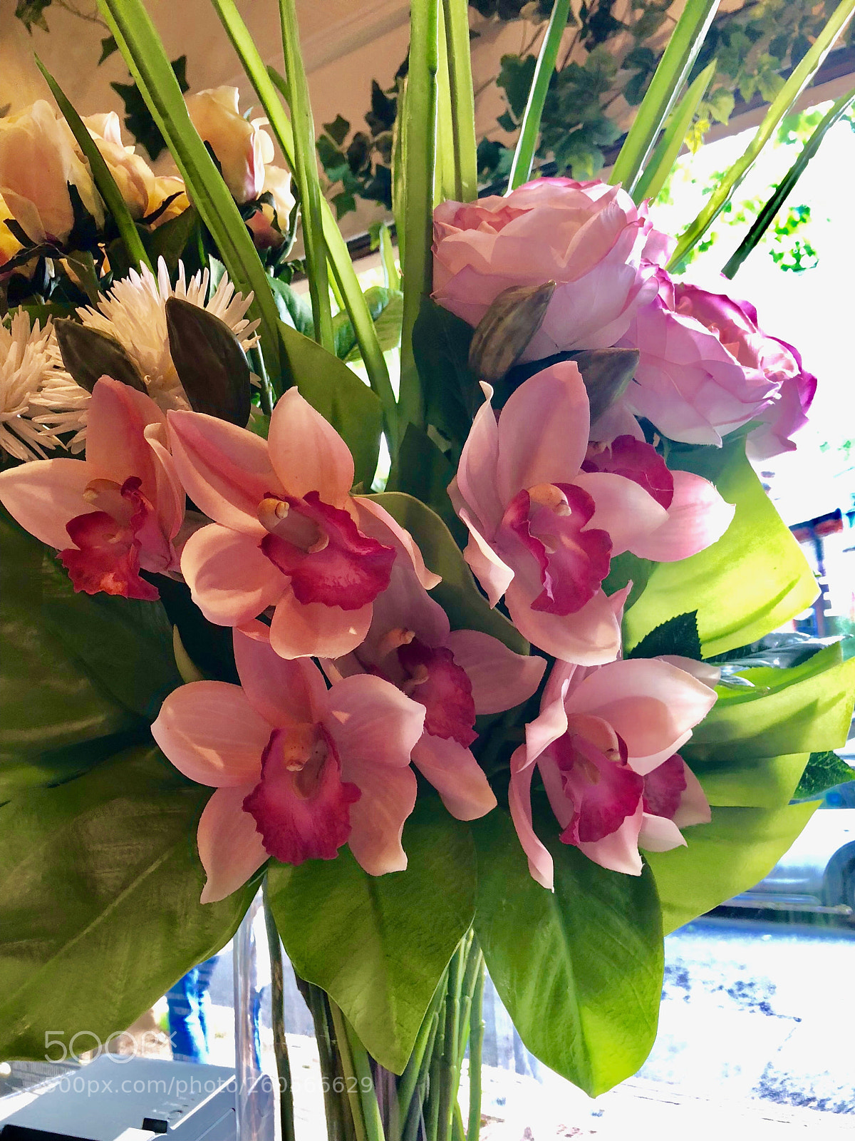 Apple iPhone X sample photo. Untitled photography