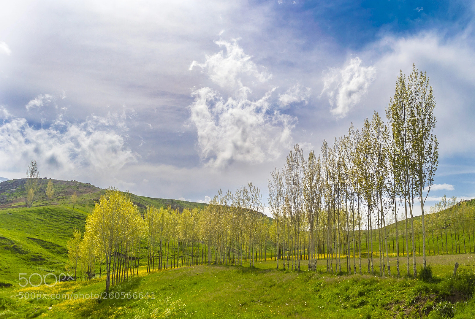 Nikon D3200 sample photo. Untitled photography