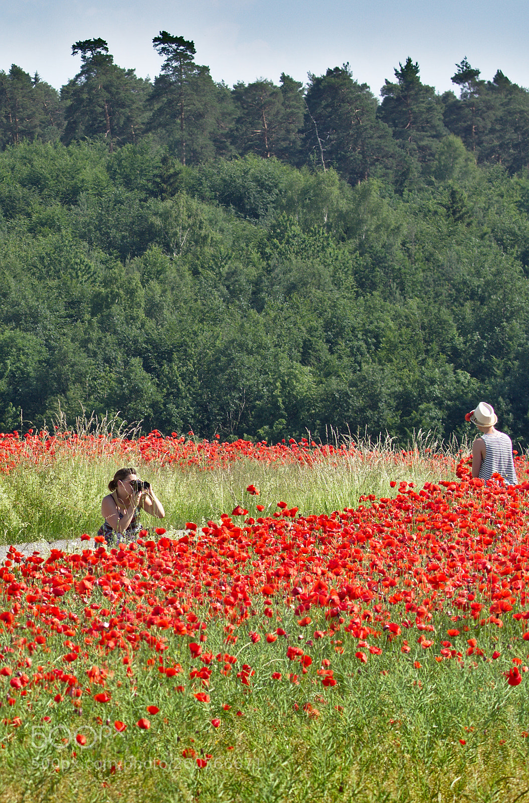Nikon D7200 sample photo. Shooting photography